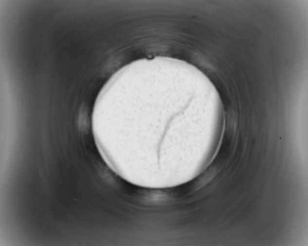 X0000083560287200703091623