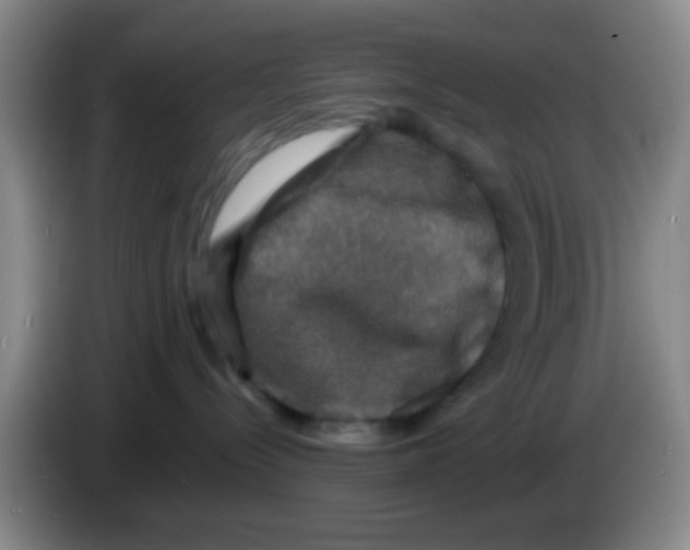 X0000083560288200703091623