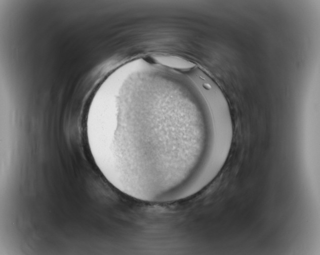 X0000083560290200703091622