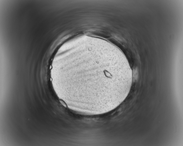 X0000083560291200703091622