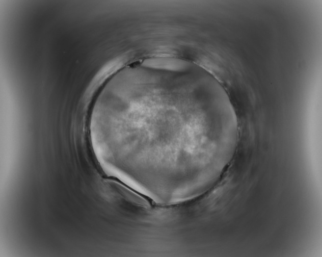 X0000083560293200703091622