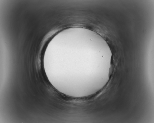 X0000083560294200703091622