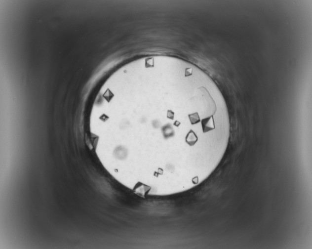 X0000083560296200703091622