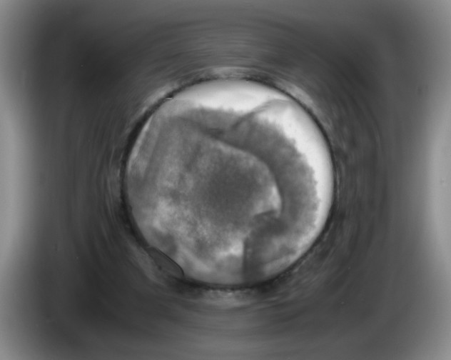 X0000083560297200703091622