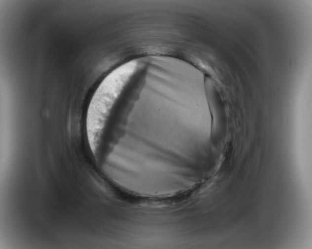 X0000083560299200703091622