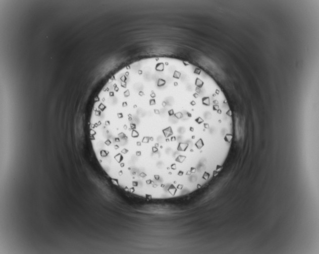 X0000083560300200703091622