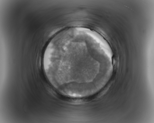 X0000083560301200703091622