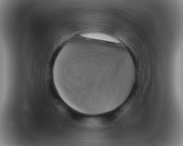 X0000083560303200703091622