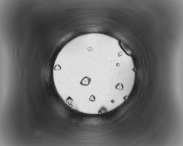 X0000083560304200703091622