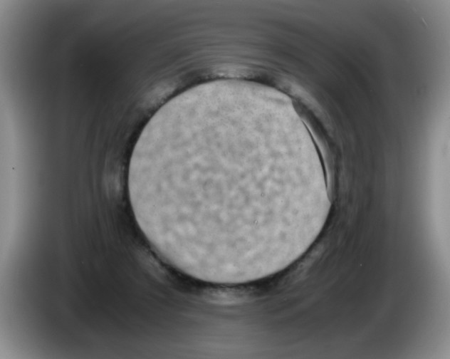 X0000083560305200703091622