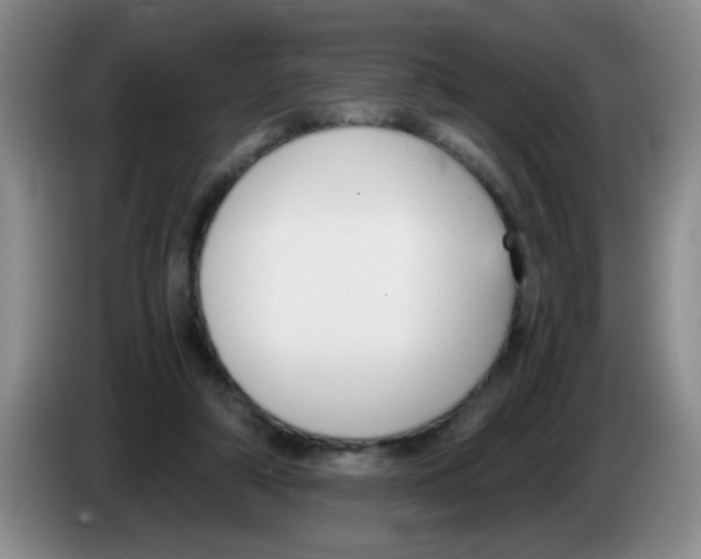 X0000083560306200703091622