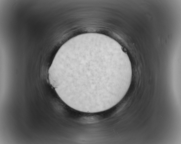 X0000083560307200703091622