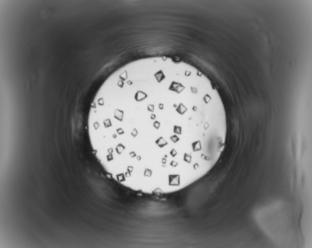 X0000083560308200703091622