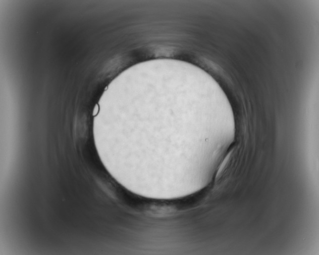 X0000083560311200703091622