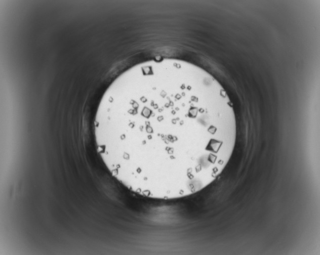 X0000083560312200703091622