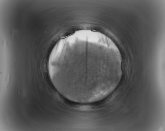 X0000083560313200703091622