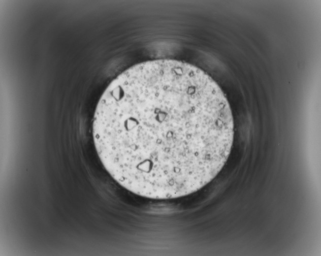 X0000083560316200703091622