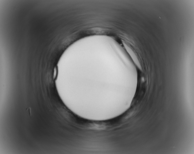 X0000083560317200703091622