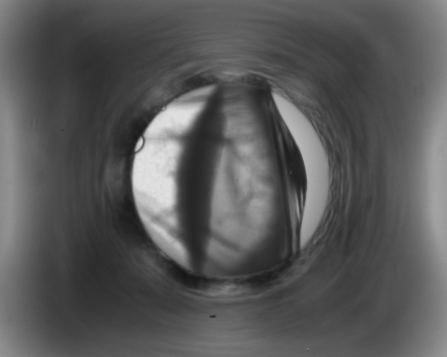 X0000083560319200703091622