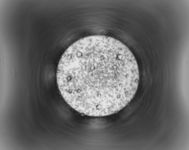 X0000083560320200703091622