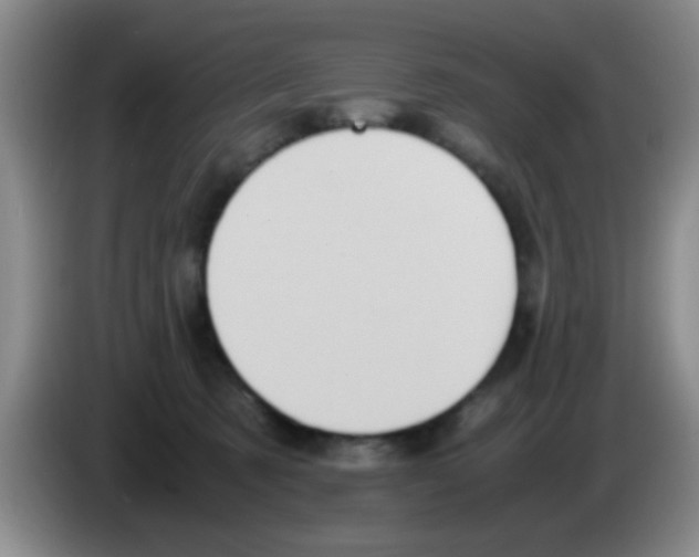 X0000083560321200703091622