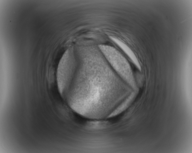 X0000083560323200703091622