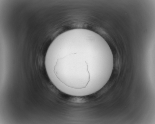 X0000083560326200703091622