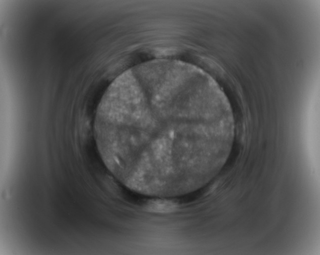 X0000083560327200703091622