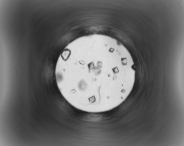 X0000083560328200703091622