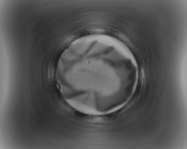 X0000083560330200703091622