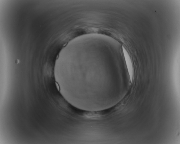 X0000083560331200703091622