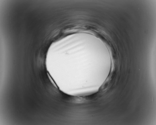 X0000083560333200703091622