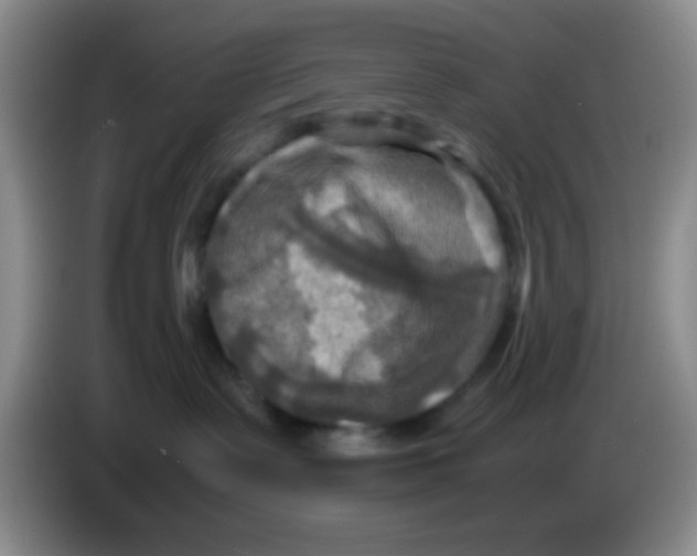 X0000083560335200703091621