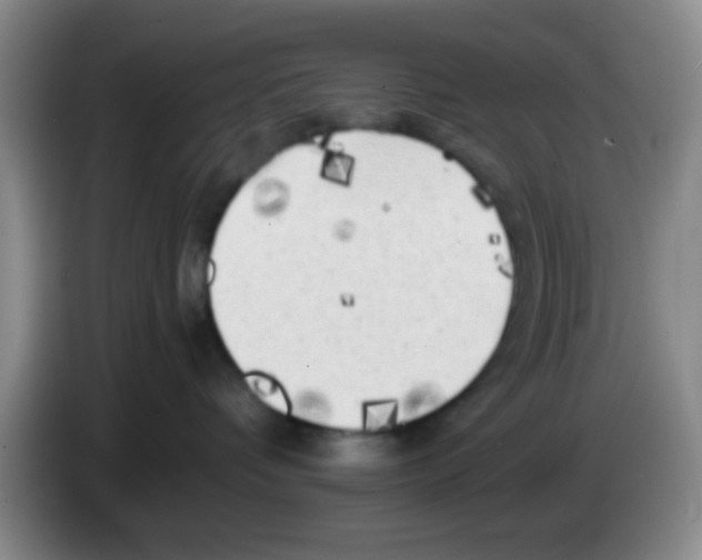 X0000083560336200703091621