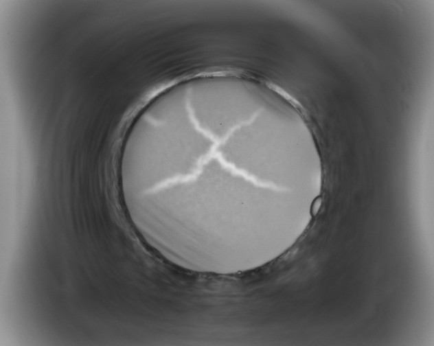 X0000083560337200703091621