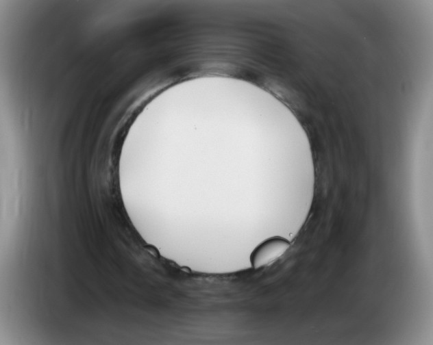 X0000083560338200703091621