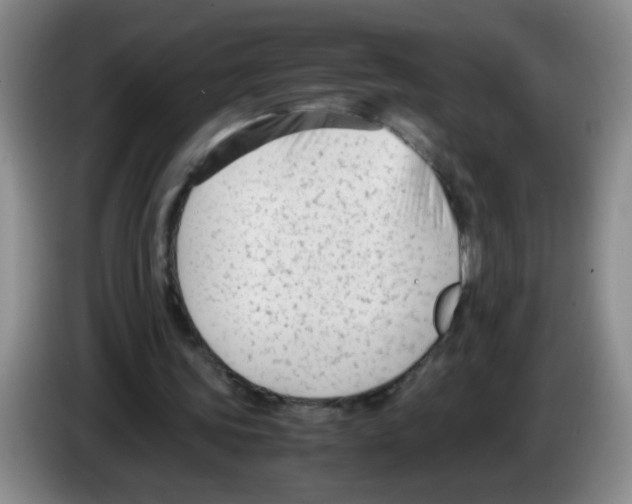 X0000083560339200703091621