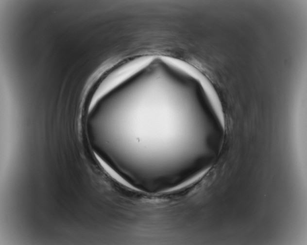 X0000083560340200703091621