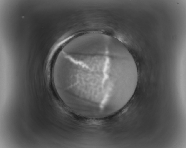 X0000083560343200703091621