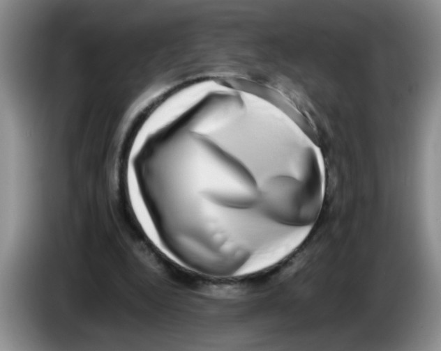 X0000083560344200703091621