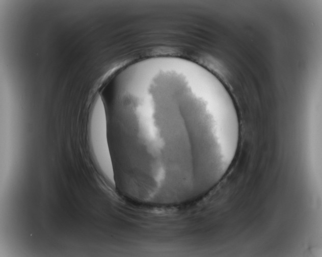 X0000083560345200703091621