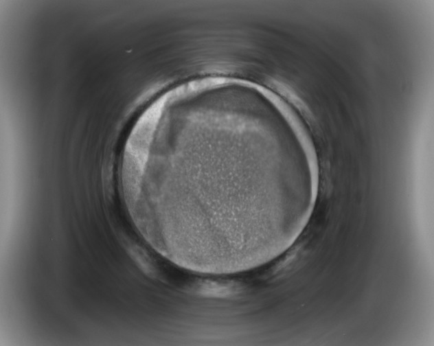 X0000083560346200703091621