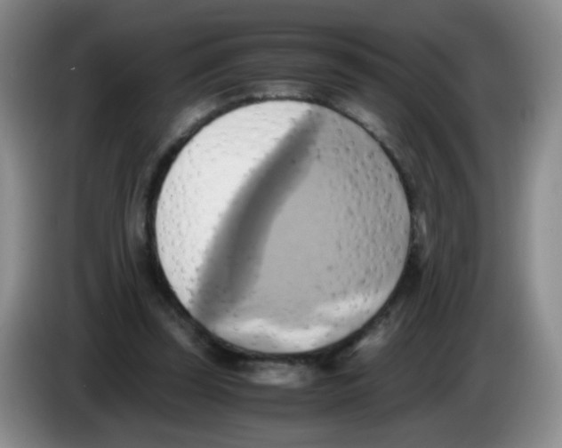 X0000083560347200703091621