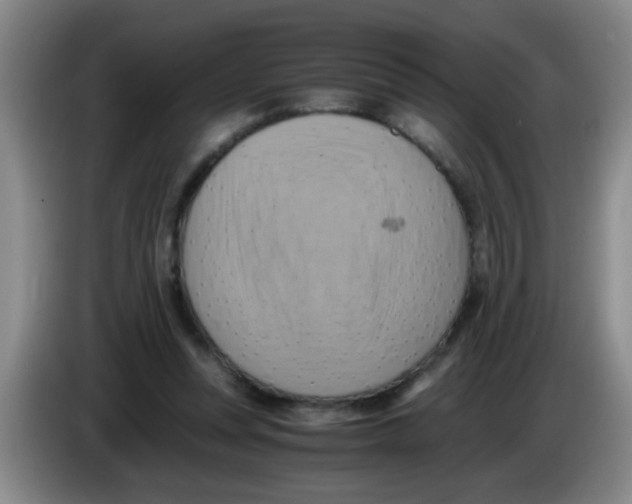 X0000083560351200703091621