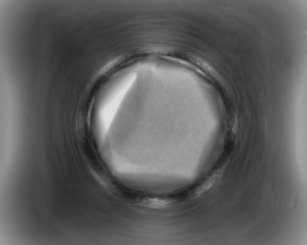 X0000083560352200703091621