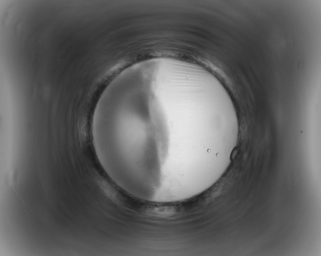 X0000083560353200703091621