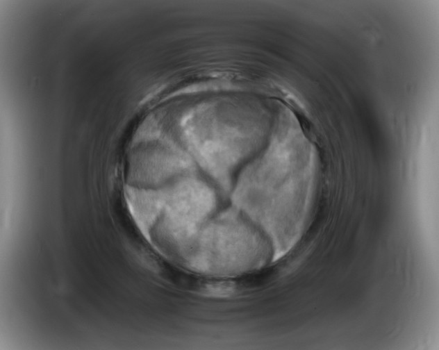 X0000083560355200703091621