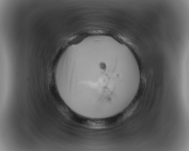 X0000083560359200703091621