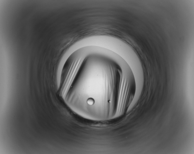 X0000083560362200703091621