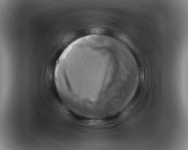 X0000083560363200703091621